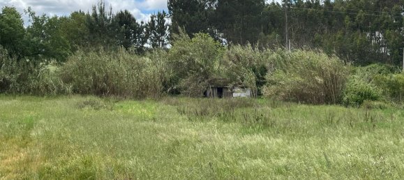 Grundstück in Leiria, Portugal 2197m², Nr. 89479 12