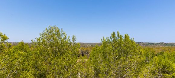 2 bedrooms Penthouse in Torrevieja, Spain No. 178441 30