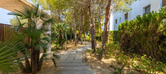 2 bedrooms Penthouse in Torrevieja, Spain No. 178441 31