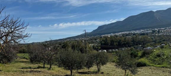 3 bedrooms House in Alhaurin el Grande, Spain No. 135882 20