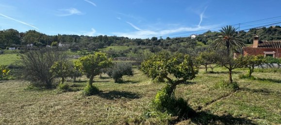 3 bedrooms House in Alhaurin el Grande, Spain No. 135882 19