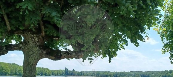 5 bedrooms House in La Chapelle-d'Angillon, France No. 77022 2