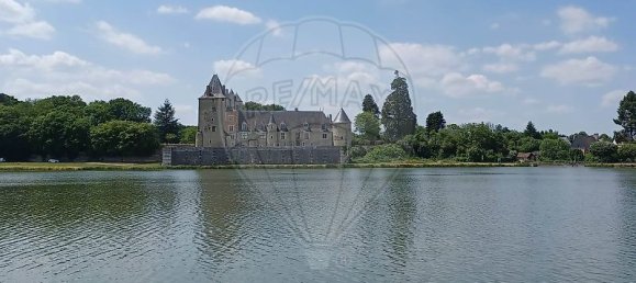 5 bedrooms House in La Chapelle-d'Angillon, France No. 77022 23