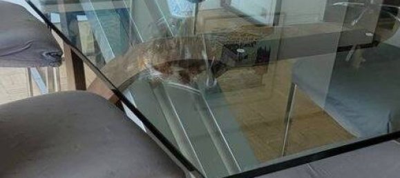 2 غرف نوم شقة في Marseille, France رقم 330551 11