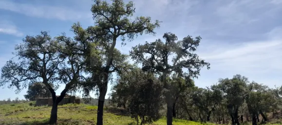 84250m² Land in Grandola, Portugal No. 135802 8