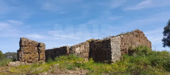 84250m² Land in Grandola, Portugal No. 135802 19