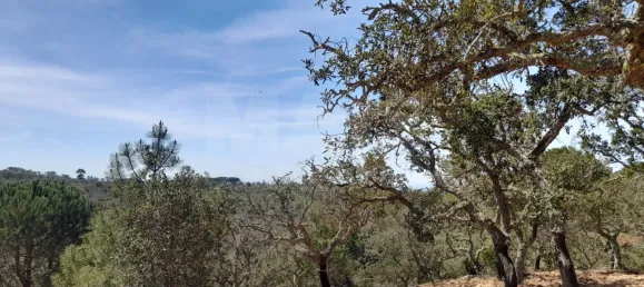 84250m² Land in Grandola, Portugal No. 135802 11