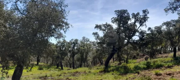 84250m² Land in Grandola, Portugal No. 135802 3