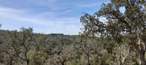 84250m² Land in Grandola, Portugal No. 135802 17