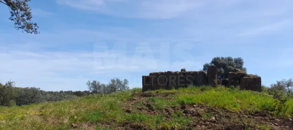 84250m² Land in Grandola, Portugal No. 135802 4