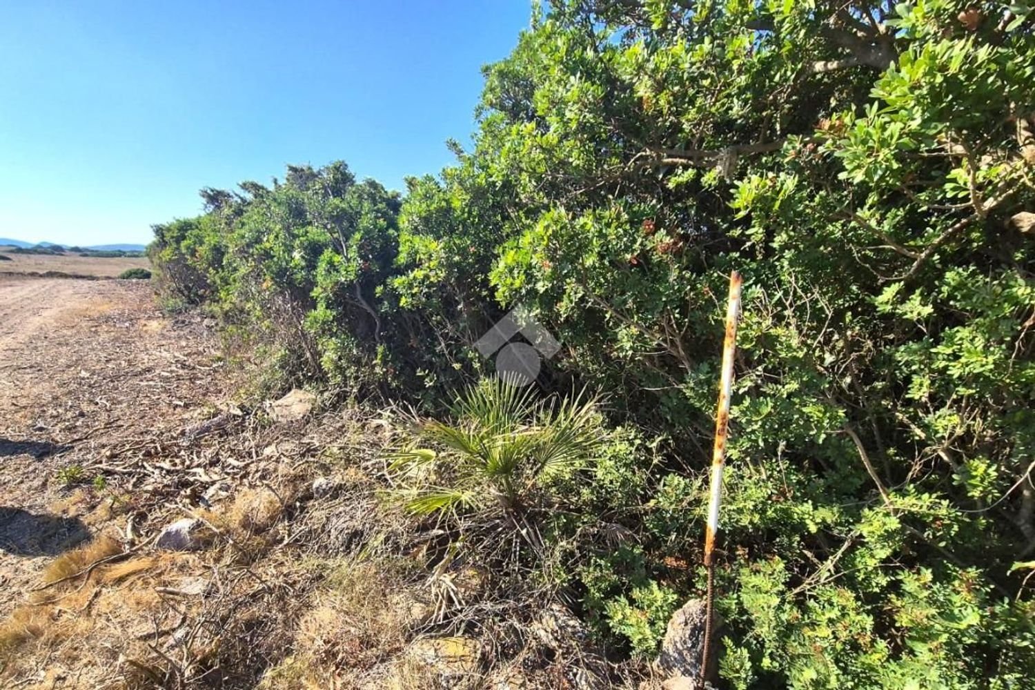 Terrain à Sardinia, Italy 100000m² No. 289415