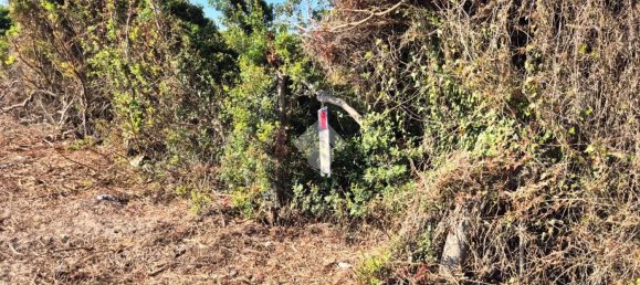 Terrain à Sardinia, Italy 100000m² No. 289415 7