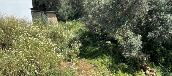 قطعة أرض في Loule, Portugal 70متر مربع رقم 51420 4