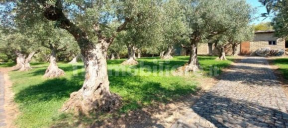 5 غرف نوم فيلا في Frascati, Italy رقم 292357 12