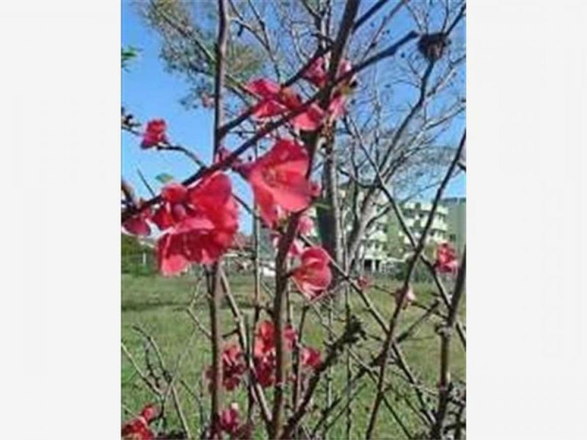 1498m² Hotel in Entre Rios, Argentina No. 22308