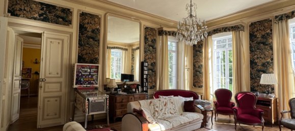  Castillos de 11 habitaciónes en Vornay, France No. 226643 2