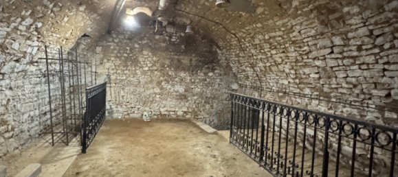  Castillos de 11 habitaciónes en Vornay, France No. 226643 22