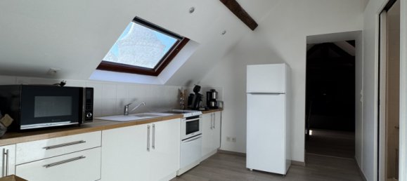  Castillos de 11 habitaciónes en Vornay, France No. 226643 19