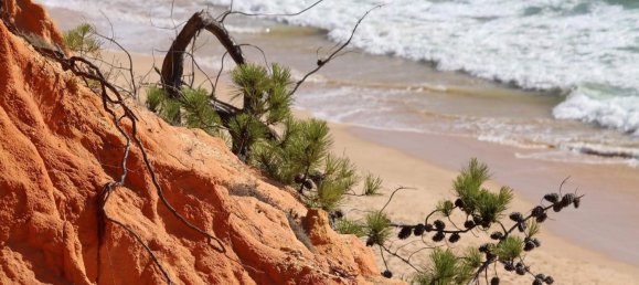  قطعة أرض في Albufeira, Portugal رقم 103141 10