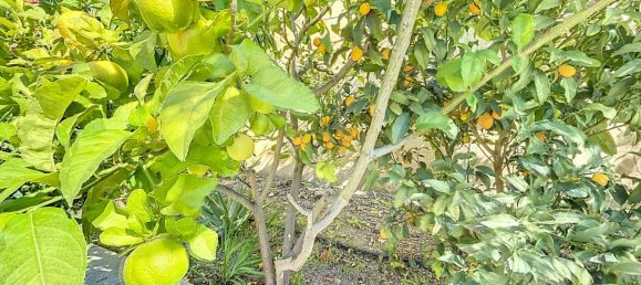 Villa T3 em El Penoncillo, Spain N.º 111073 48