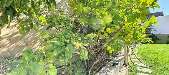 Villa T3 em El Penoncillo, Spain N.º 111073 49