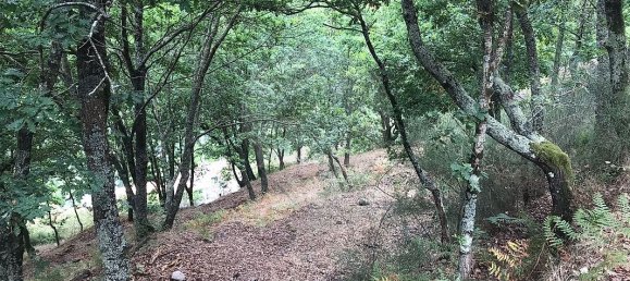 3 غرف نوم منزل في Arcos de Valdevez, Portugal رقم 17472 22