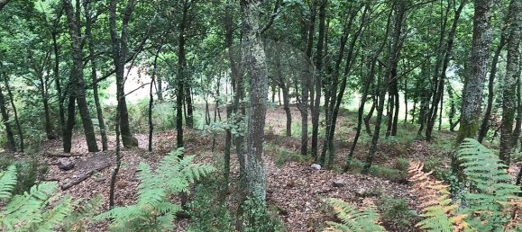 3 غرف نوم منزل في Arcos de Valdevez, Portugal رقم 17472 16