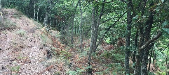 3 غرف نوم منزل في Arcos de Valdevez, Portugal رقم 17472 6