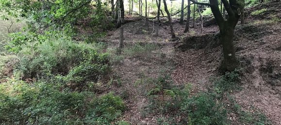 3 غرف نوم منزل في Arcos de Valdevez, Portugal رقم 17472 3