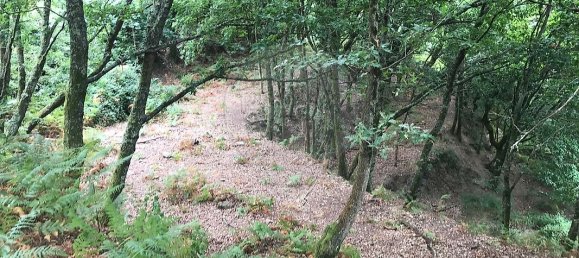 3 غرف نوم منزل في Arcos de Valdevez, Portugal رقم 17472 10