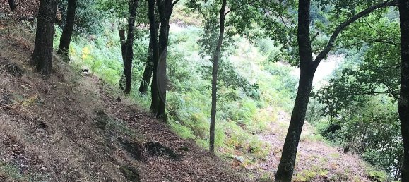 3 غرف نوم منزل في Arcos de Valdevez, Portugal رقم 17472 15