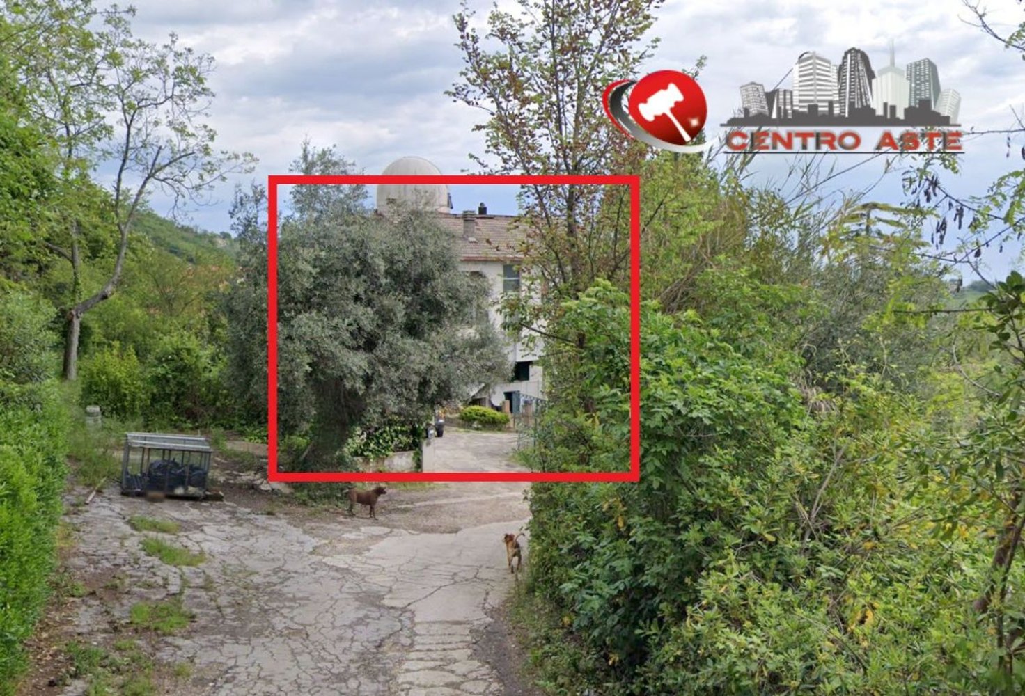 7-salle Maison à Alba Adriatica, Italy No. 289607