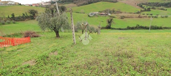 2000m² Land in Montegiorgio, Italy No. 79283 10