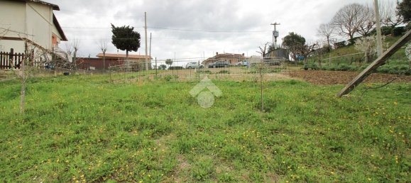 2000m² Land in Montegiorgio, Italy No. 79283 13