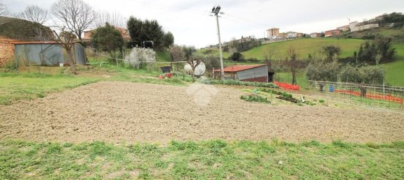 2000m² Land in Montegiorgio, Italy No. 79283 8
