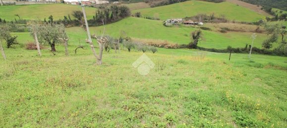 2000m² Land in Montegiorgio, Italy No. 79283 2