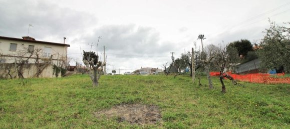 2000m² Land in Montegiorgio, Italy No. 79283 11