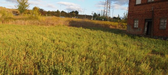 Terreno em Cubillos del Sil, Spain 236 m² N.º 75403 4