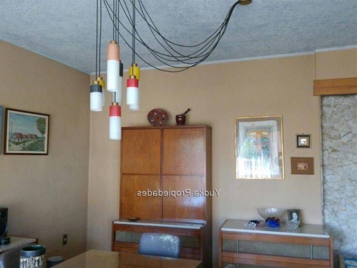 3 غرف نوم شقة في Montevideo, Uruguay رقم 5210