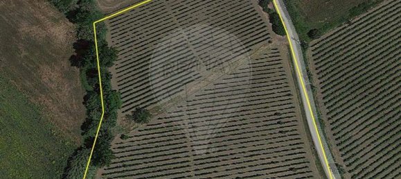 2 bedrooms House in Arruda dos Vinhos, Portugal No. 44966 6