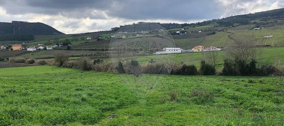 2 bedrooms House in Arruda dos Vinhos, Portugal No. 44966 18