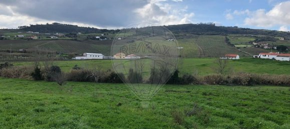 2 bedrooms House in Arruda dos Vinhos, Portugal No. 44966 15