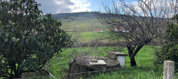 2 bedrooms House in Arruda dos Vinhos, Portugal No. 44966 20