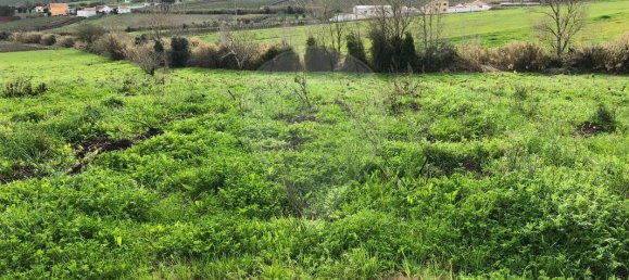 2 bedrooms House in Arruda dos Vinhos, Portugal No. 44966 16