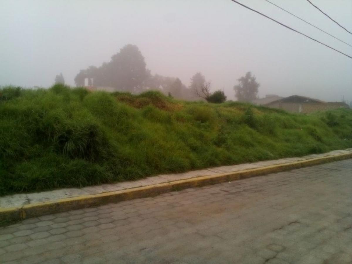 Terreno en Mexico No. 205713