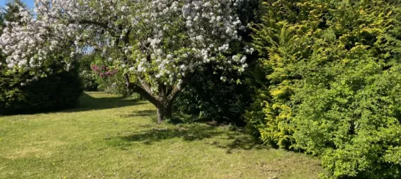  Land in Rendsburg-Eckernforde, Germany No. 24706 3