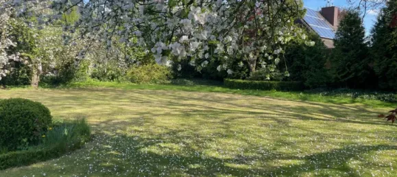  Land in Rendsburg-Eckernforde, Germany No. 24706 4