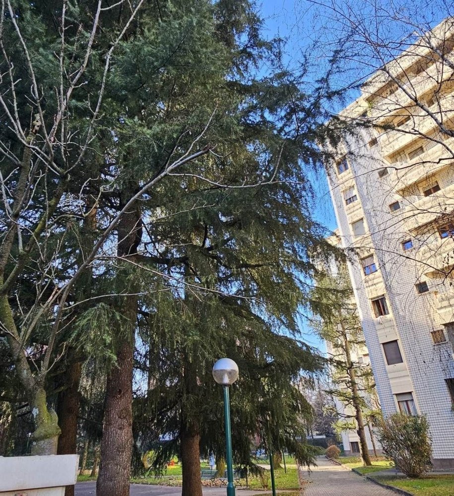 2 rooms Apartment in Corsico, Italy No. 330347