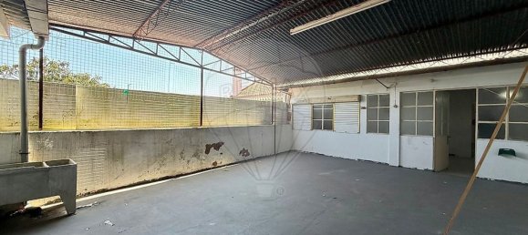 3 Schlafzimmer Villa in Paialvo, Portugal, Nr. 183533 16