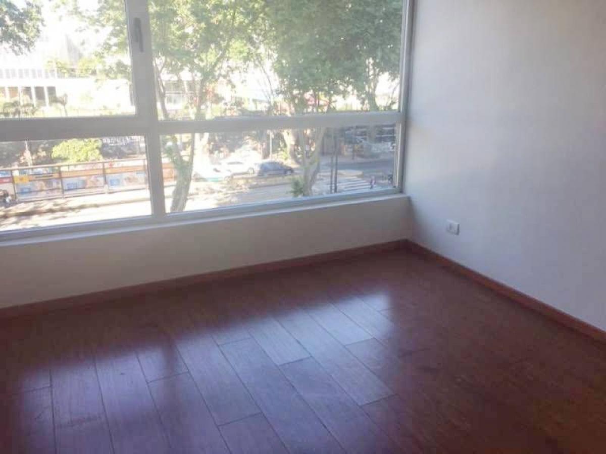 Studio in Palermo, Argentina No. 99895